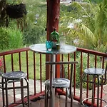Eco Language Hostel