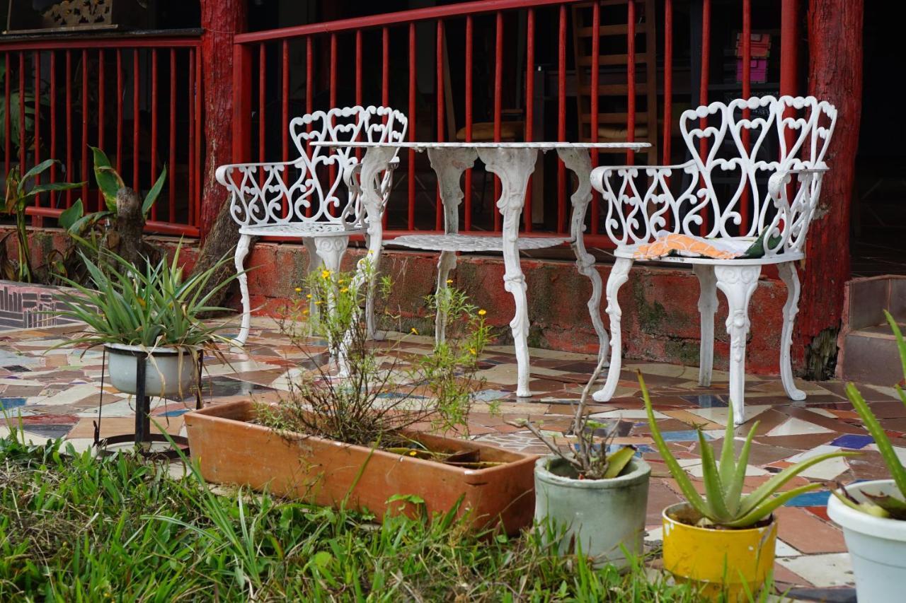 Eco Language Hostal Medellín