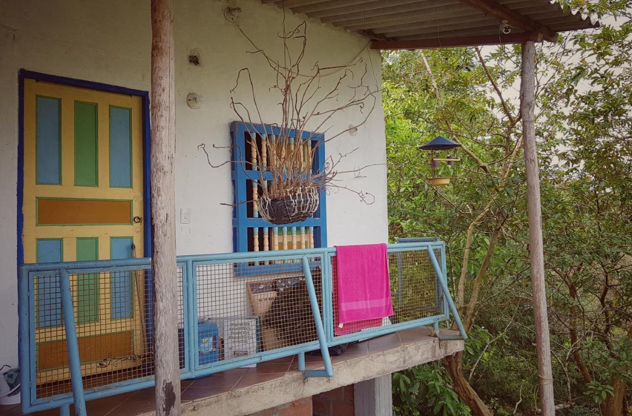 Eco Language Hostal Medellín