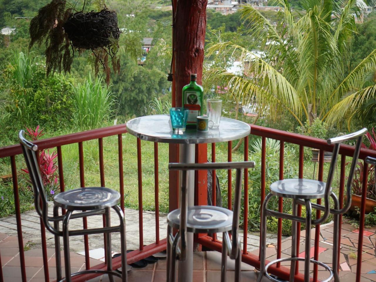 Eco Language * Medellín