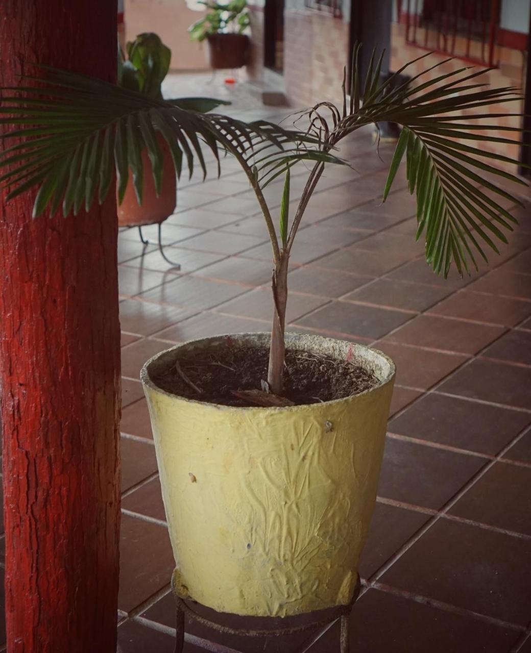 Hostal Eco Language