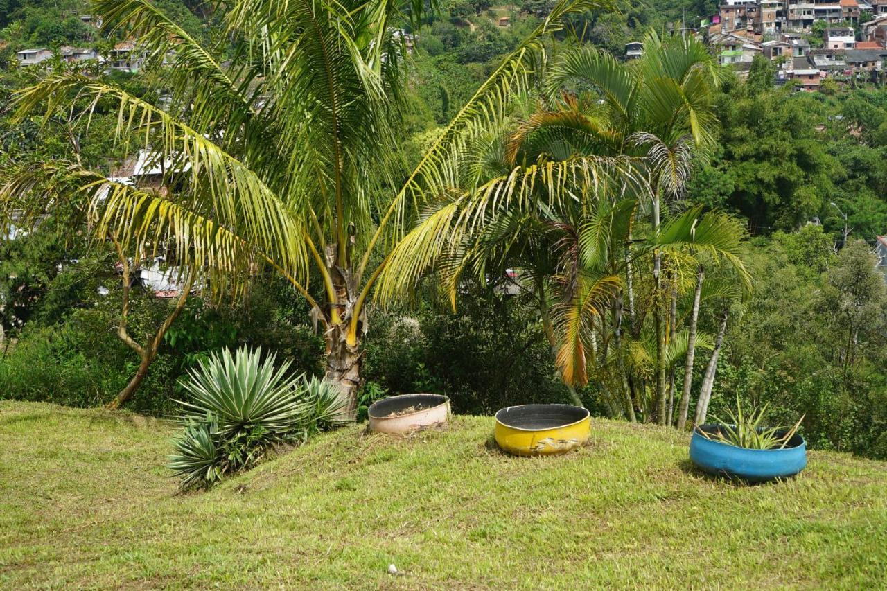 Eco Language Hostal