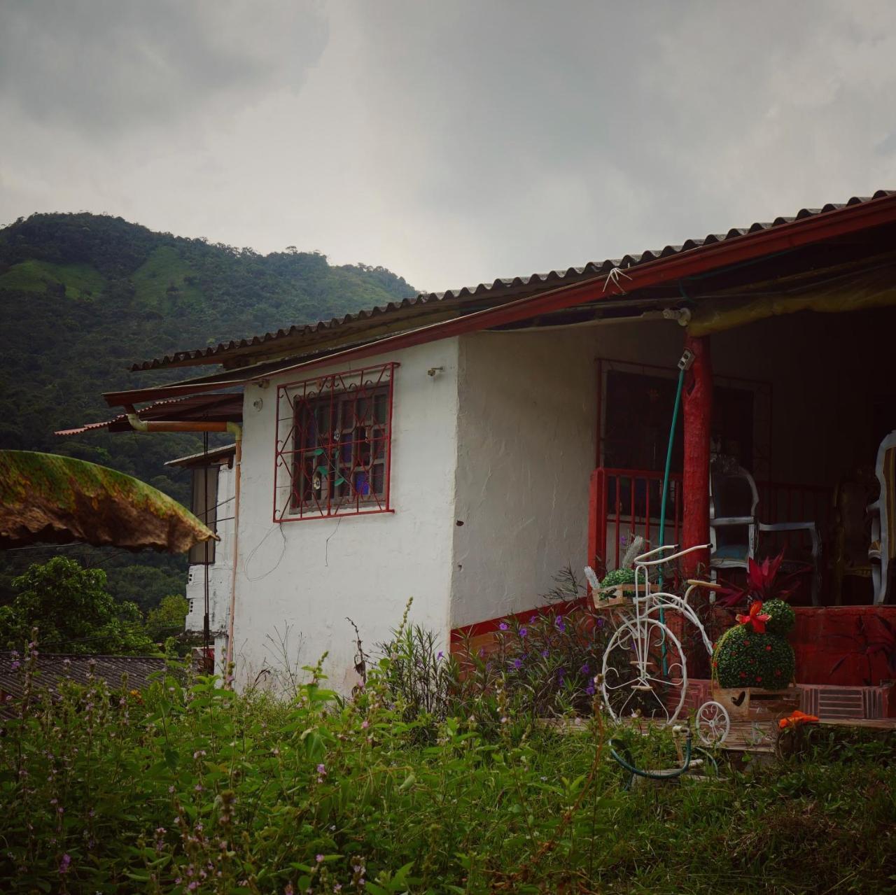 Eco Language Hostal